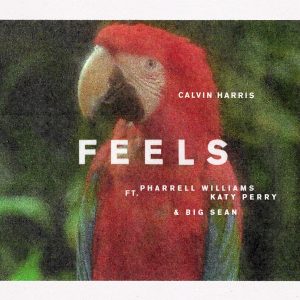 Calvin Harris: Feels 2.0