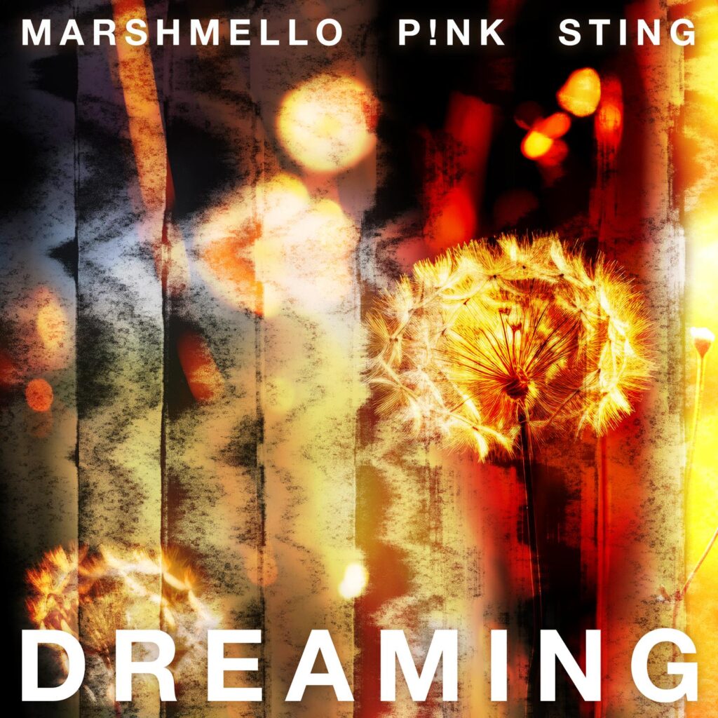 Marshmello, P!NK, Sting - Dreaming