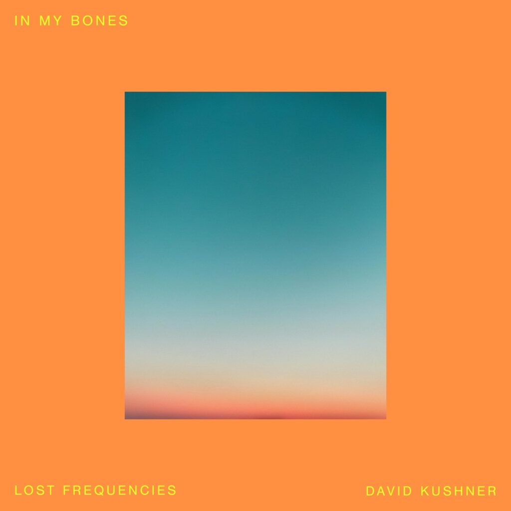 Lost Frequencies & David Kushner - In My Bones