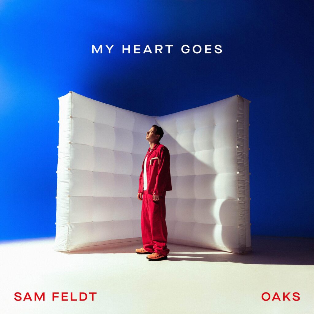 Sam Feldt feat. Oaks - My Heart Goes